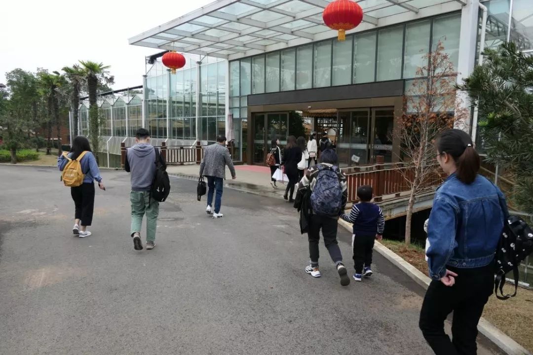 金色年华 ‧ 楚德团建(图3)