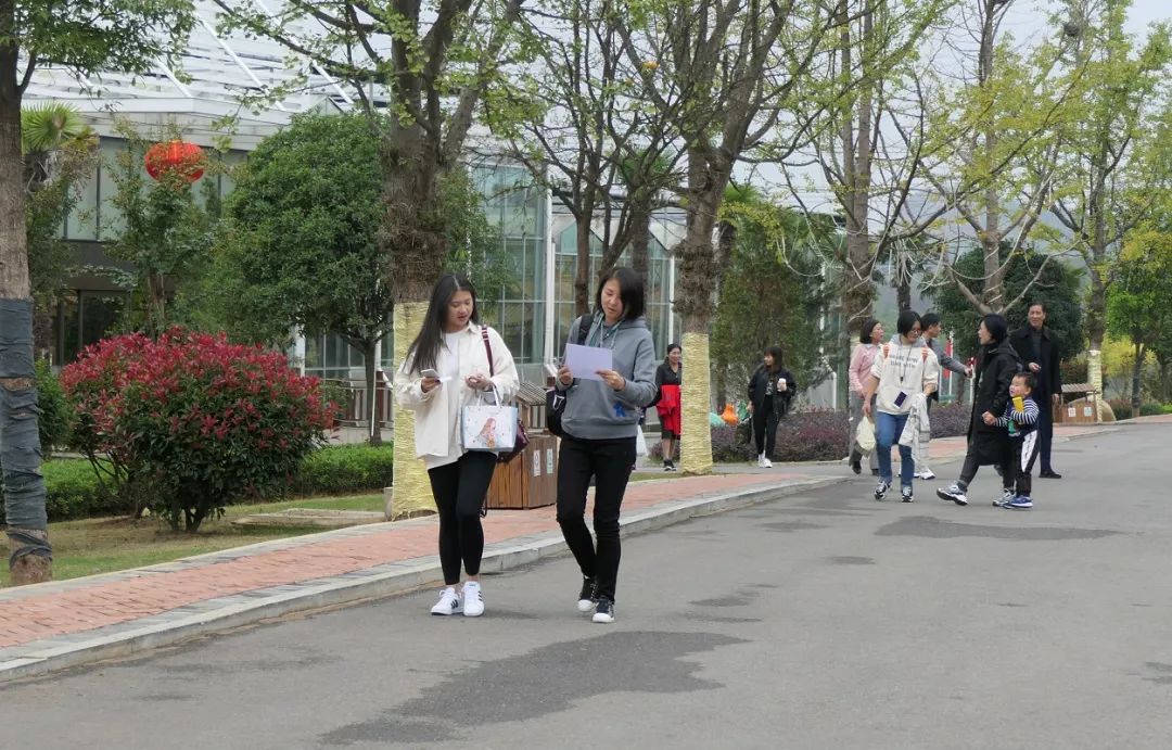 金色年华 ‧ 楚德团建(图14)