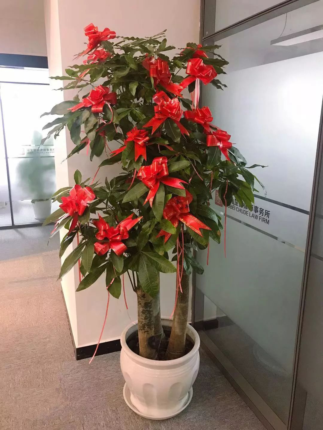 楚德活动 | 感恩节(图10)