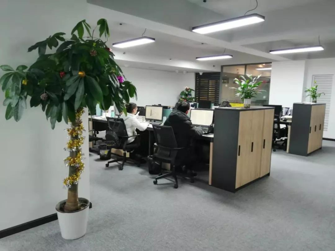 楚德律所 | 圣诞快乐(图7)
