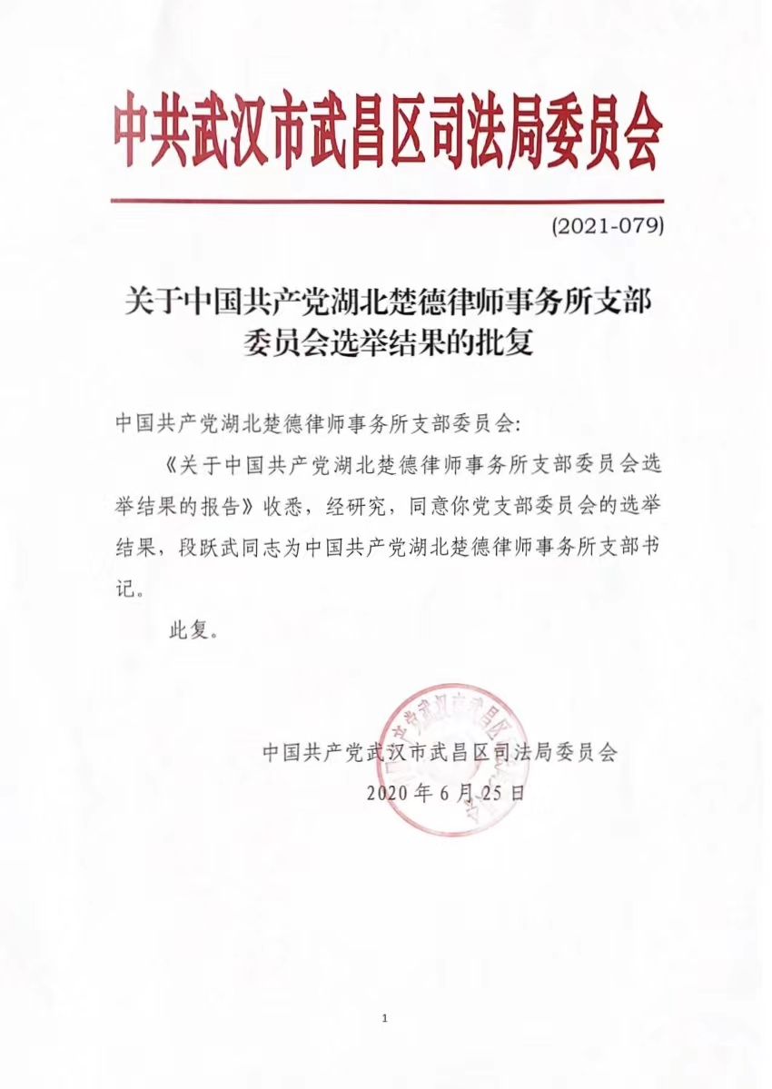 中共湖北楚德律师事务所党支部获批文件正式下达(图2)