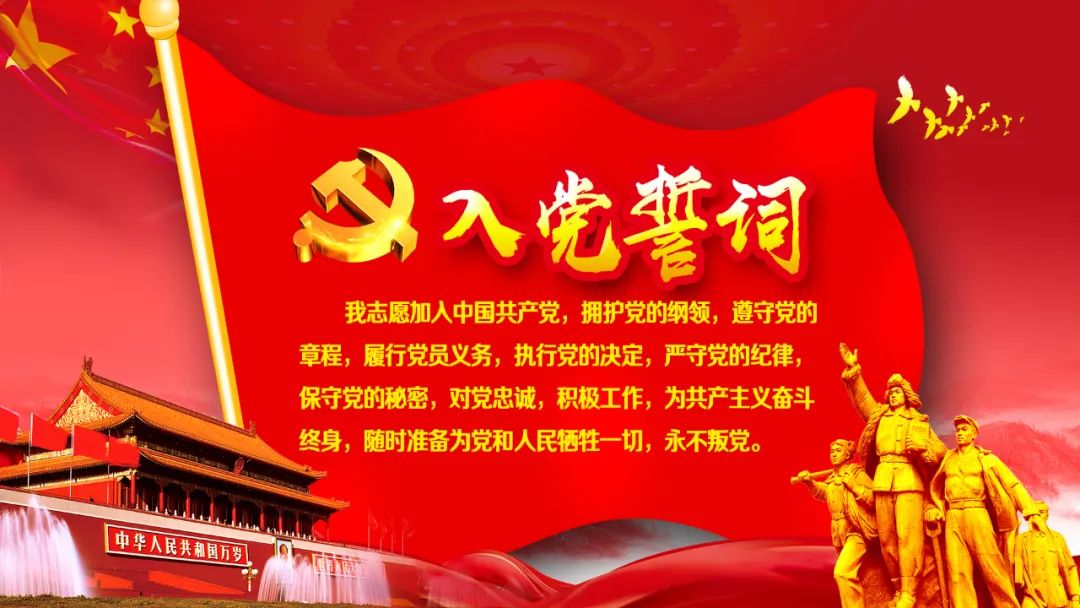 中共湖北楚德律师事务所党支部获批文件正式下达(图5)