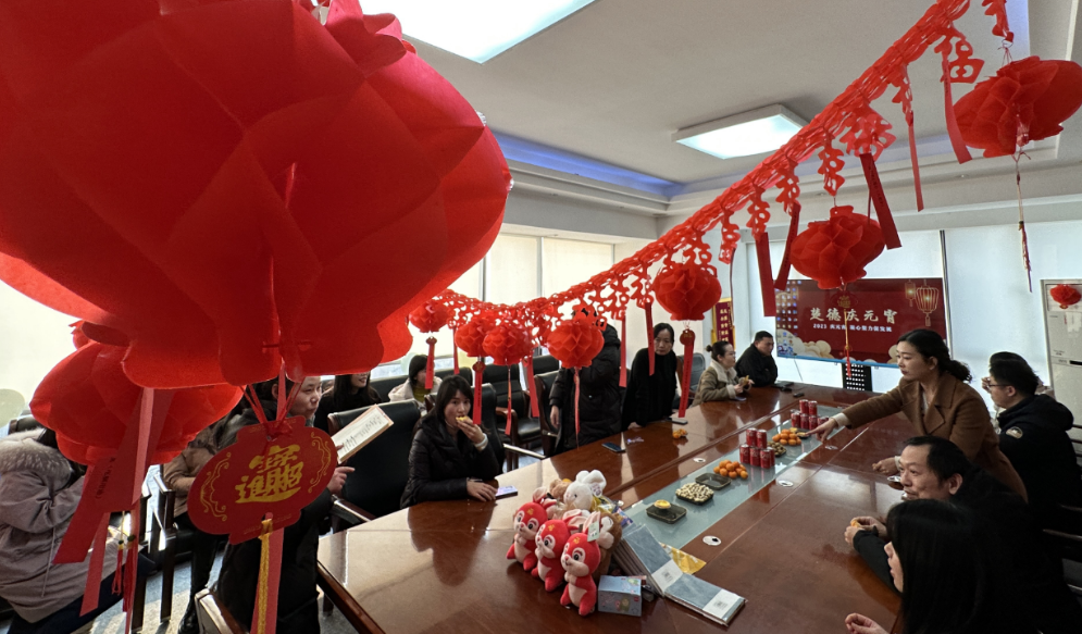 庆元宵 凝心聚力促发展 | 楚德主题党日活动圆满举办(图7)
